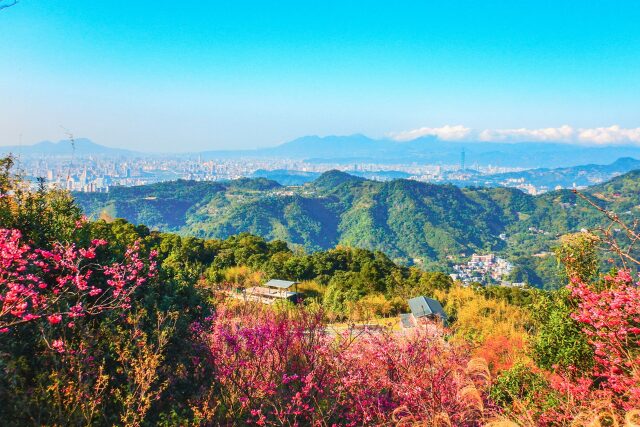 台湾　春