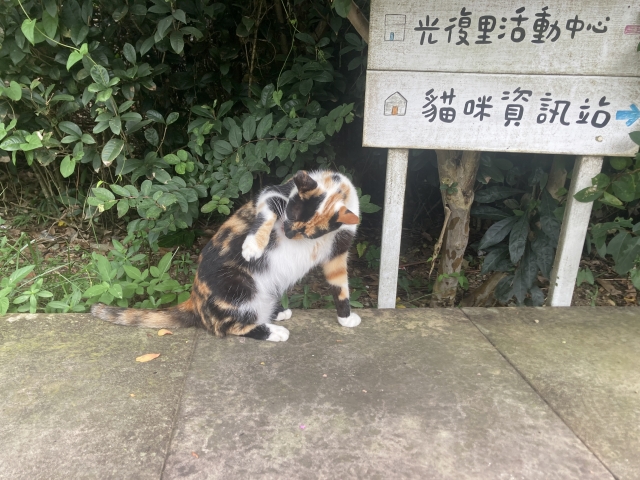 猫村　侯硐