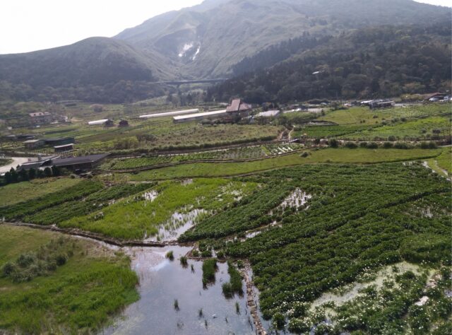 陽明山 竹子湖