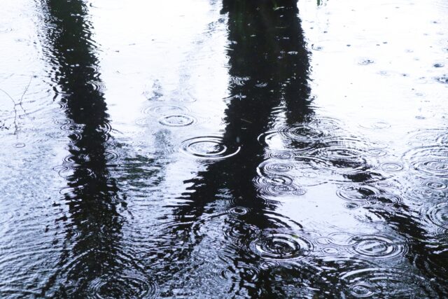 雨