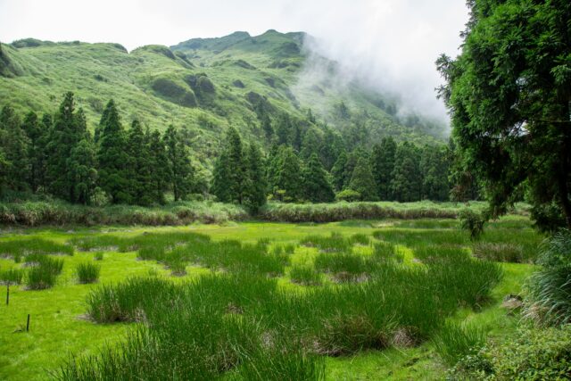 陽明山 夢幻湖