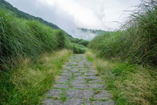 陽明山 ハイキングコース