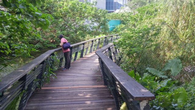 台北 松山文創園区　遊歩道